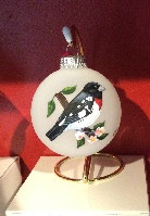 Rose Breasted Grosbeak